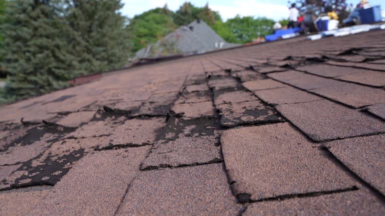 Best Storm Damage Roof Repair  in La Croft, OH
